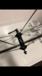 40C30F6F-669B-421A-B03F-E18FFD5A879E.png