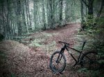 IMG-20161022-WA0010.jpg