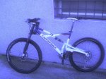 prophet SL 006.jpg