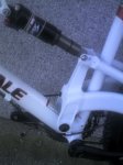 prophet SL 012.jpg