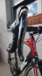 DSC01736.jpg
