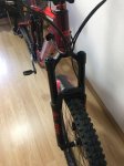 IMG_1007.jpeg