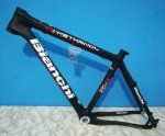bianchi 2.jpg