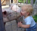 lindo-bebito-cerdo.jpg
