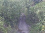DSC00005.JPG