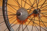 IMG_7489 NUEVA.JPG