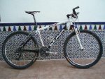 Bici.jpg