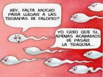 espermatozoo_2.jpg