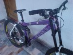 DSC00804.jpg