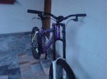 DSC00809.jpg