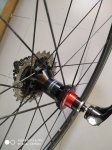 IMG-20190206-WA0018.jpg