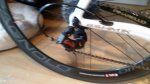 dogma 4.jpe