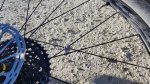 IMG-20190212-WA0022.jpg
