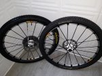 20181023_123217.jpg
