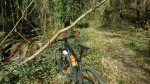IMG-20190302-WA0005.jpg