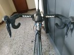Giant 3.jpg