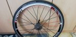 IMG-20190304-WA0014.jpeg