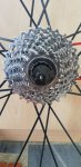 IMG-20190304-WA0016.jpeg