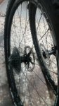 IMG-20190306-WA0019.jpg