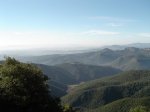 zimagen_143.jpg