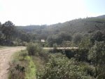 dscn0466.jpg