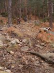 cercedilla_15.jpg