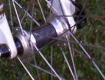 100_1130.detallejpg.jpg