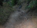 DSCN1314_redimensionar.JPG