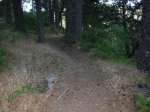 DSCN1315_redimensionar.JPG