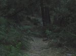 DSCN1322_redimensionar.jpg