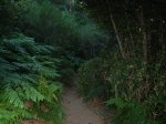 DSCN1325_redimensionar.JPG