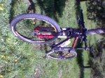 Specialized.jpg