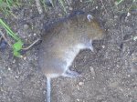 DSC01073.JPG