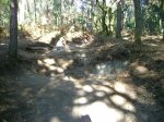 DSC00004.JPG