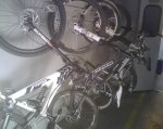 IMG00538.jpg