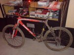 DSC00919.JPG