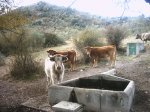 navas-robledo 088.jpg