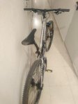 IMG-20190312-WA0002.jpg