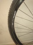 IMG-20190312-WA0006.jpg