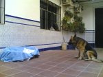 Copia de 24112007(003).jpg