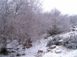 PIC_0046_resize.JPG