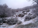 PIC_0047_resize.JPG