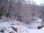 PIC_0048_resize.JPG