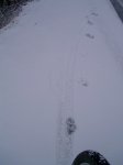 PIC_0050_resize.JPG