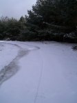 PIC_0051_resize.JPG