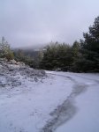 PIC_0052_resize.JPG