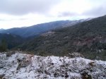 PIC_0053_resize.JPG