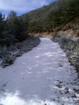 PIC_0054_resize.JPG