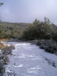 PIC_0056_resize.JPG