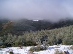 PIC_0060_resize.JPG